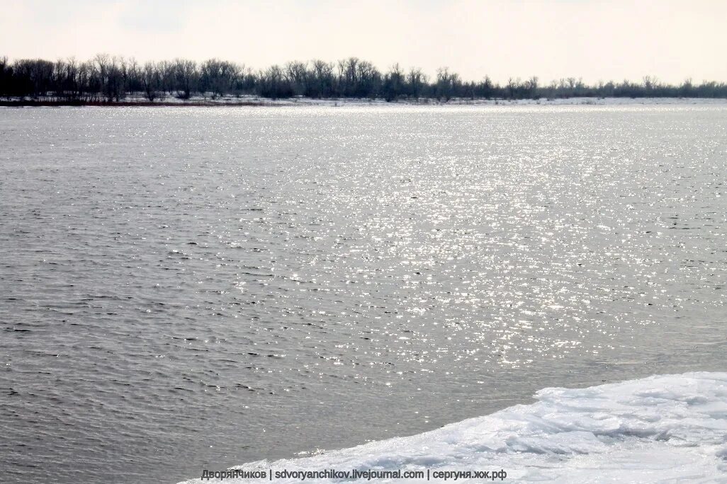 Вода в волге волгоград сегодня