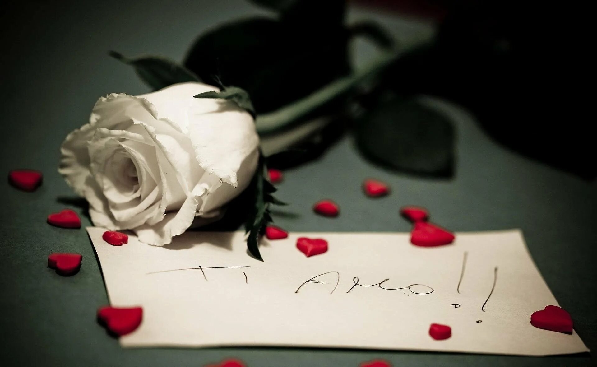 Простить любимую девушку. Цветы с запиской. Розы сердечком. "Цветы любви".
