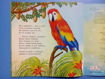 Загадка попугай