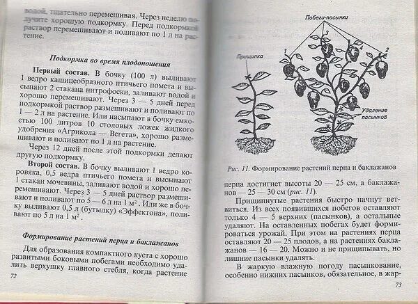 Как правильно прищипывать перец