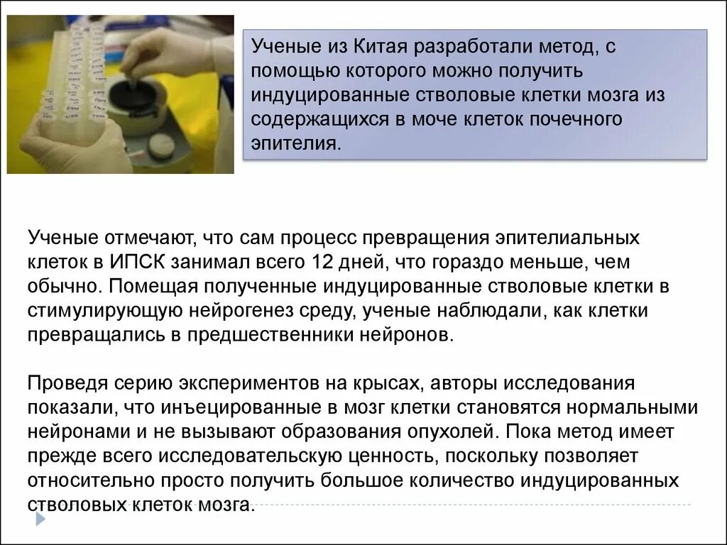 Ученые отмечают что в современном. Ученые отмечают что в современном