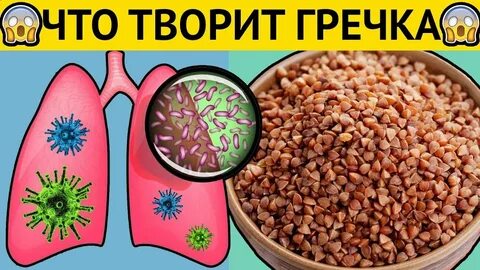 Чем вредна гречка для организма