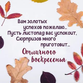 Осеннее воскресенье стихи