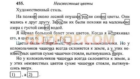 Выйти к опушке расположились на поляне