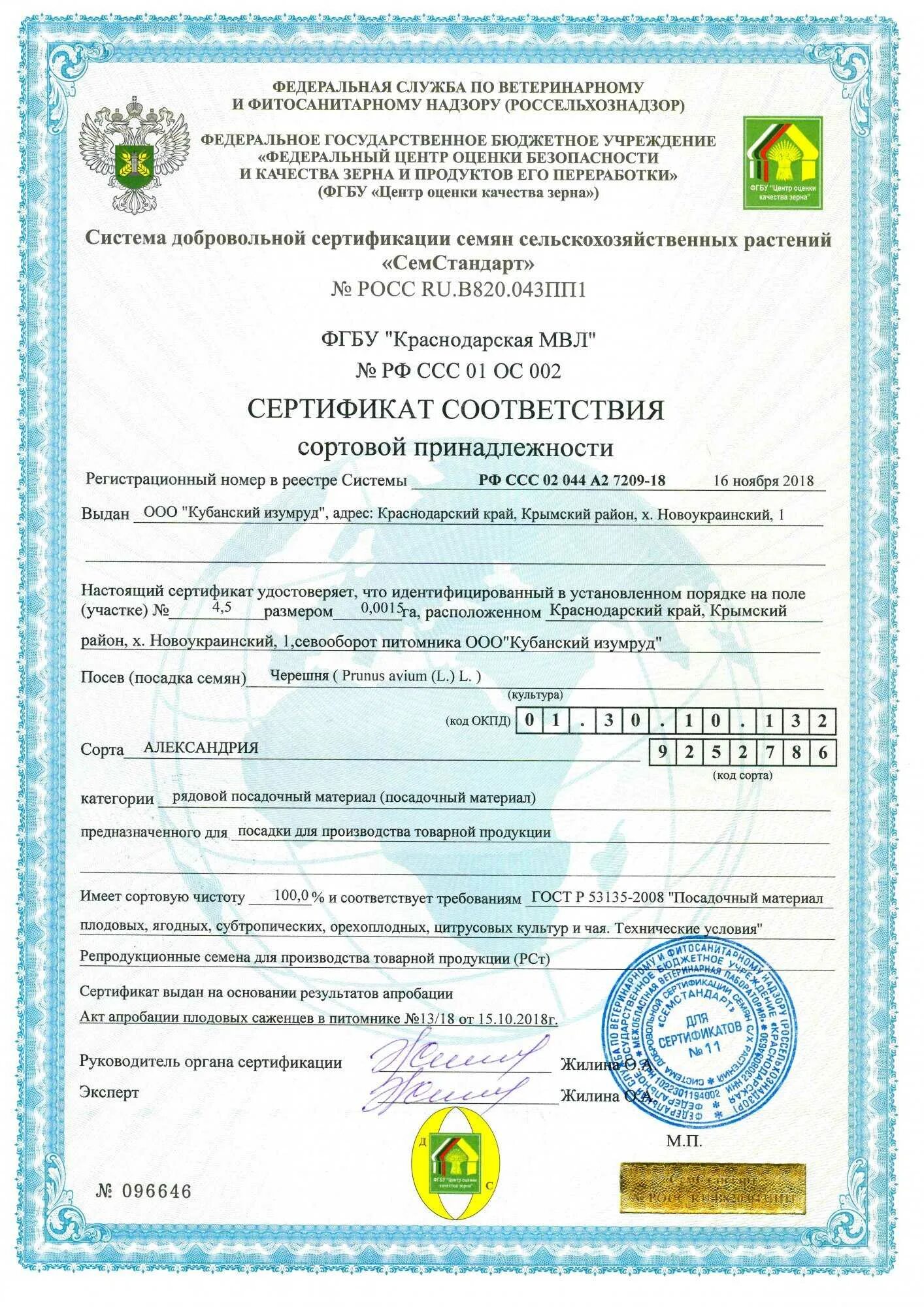 Сертифицированный материал. Сертификат на саженцы. сертификат на посадочный материал. сертификат соответствия на саженцы. сертификат на семена.