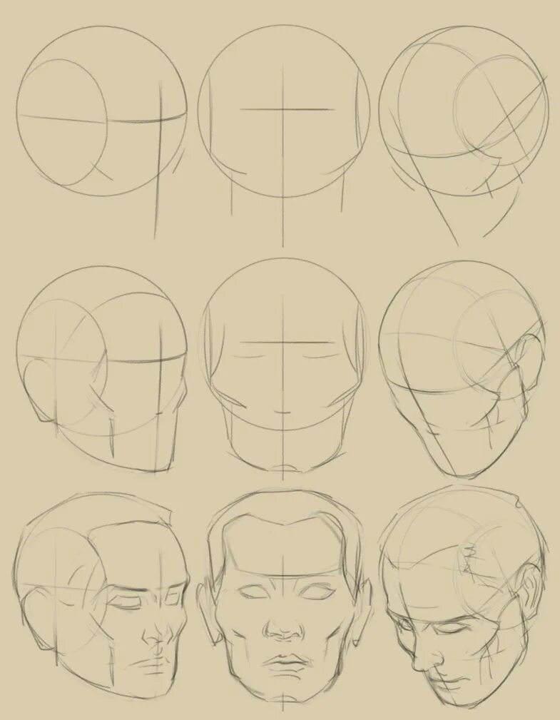 Референсы головы Эндрю Лумис. Анатомия головы для рисования. Рисование головы. Поэтапное рисование лица. Референс головы человека