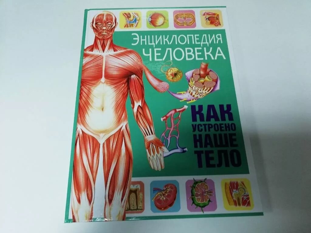 Энциклопедия тело человека. Тело человека энциклопедия для детей. Как обустроино тело человека. Тело человека книга. Книга энциклопедия человек