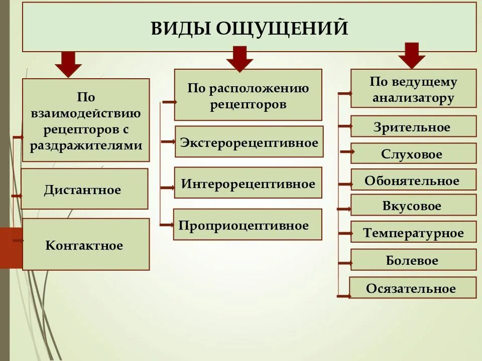 Свойства процесса ощущений. Схема виды ощущений. Классификация ощущений таблица. Ощущение классификация ощущений. Классификация ощущений по виду рецепторов.