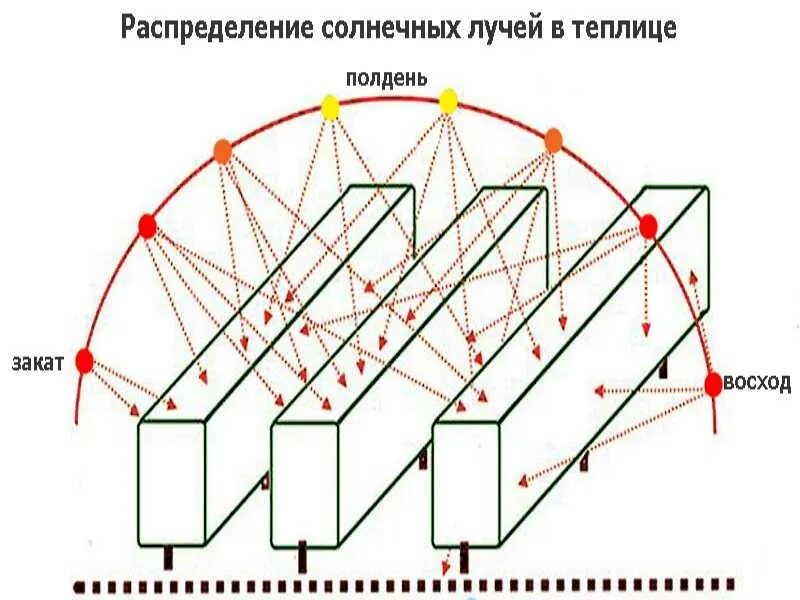 Как правильно установить теплицу по сторонам света схема. Ориентация теплицы по сторонам света в Московской области. Как правильно установить теплицу на участке по сторонам света. Расположение теплицы относительно сторон света.