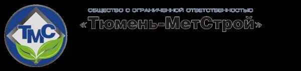 Мета тюмень. Тюмень-метстрой Тюмень. Метстрой ООО. Логотипы тюменских компаний. ООО тюменские сети.