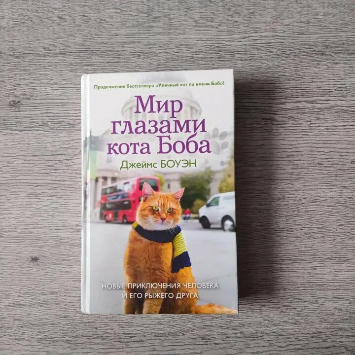 Книга про боба. Боуэн мир глазами кота Боба. Боуэн мир глазами кота Боба книга. Боуэн д. мир глазами кота Боба.