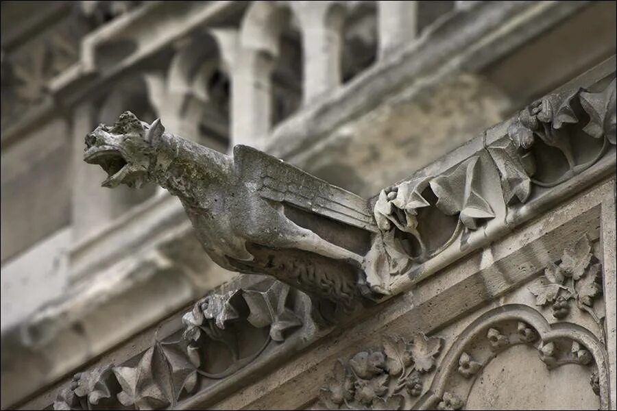 Горгулья в руан. Готика архитектура гаргульи. Грифоны и горгульи. Готика архитектура гаргульи. Грифонов и горгулий.