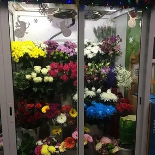 Авито омск цветы