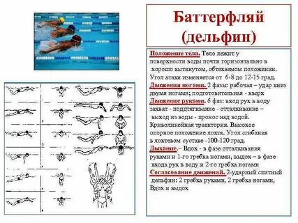 Слова г р и б о к