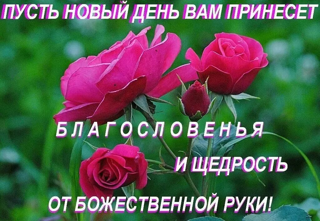 Новые картинки благословенного утра: найдено 77 изображений