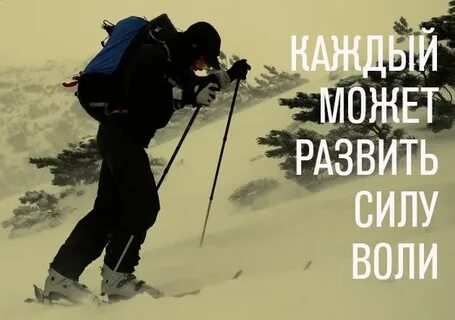 Д сила велики