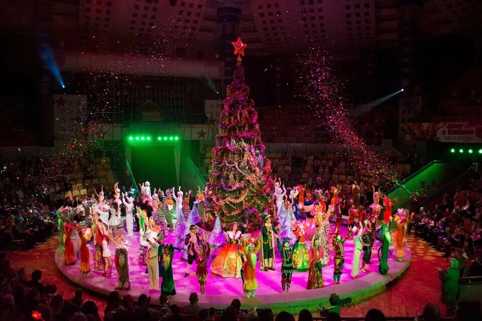 елка декабрь 2022. елка питер дворцовая площадь 2022. декабрь елка новый год. главная елка в ульяновске 2023. елка декабрь 2022.