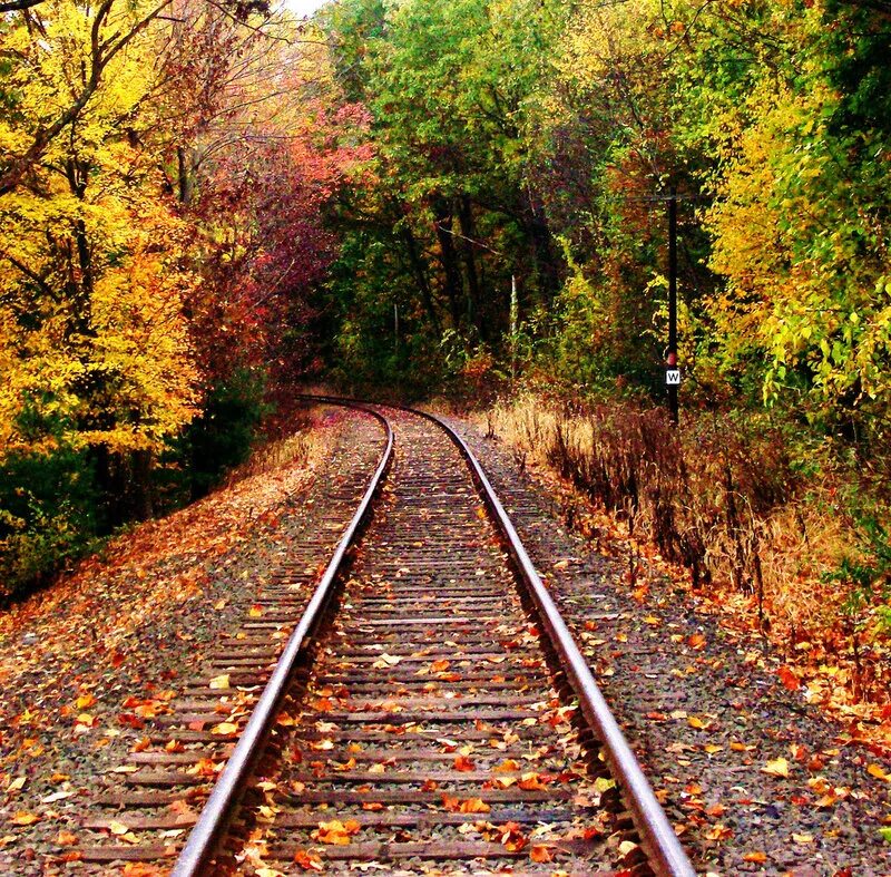 Железная дорога писатель. Железная дорога Некрасов. Иллюстрация к стихотворению железная дорога. Железная дорога осень. Некрасов железная дорога осень.