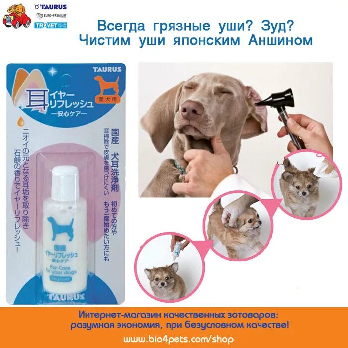 Приспособление для чистки ушей собаке. Как правильно чистить уши собаке. Капли для чистки ушей у собак. Как чистить уши щенку