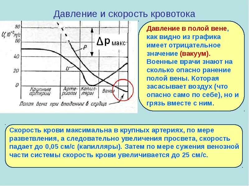 Скорость повышения давления. Давление и скорость кровотока. Давление в полых венах. Давление в полой Вене. Давление и скорость тока крови.