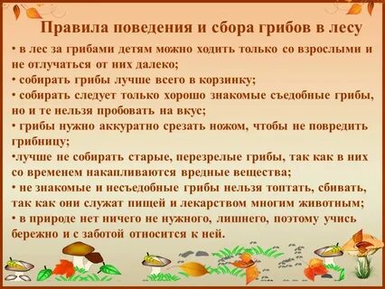 Как пишется собрано или собранно