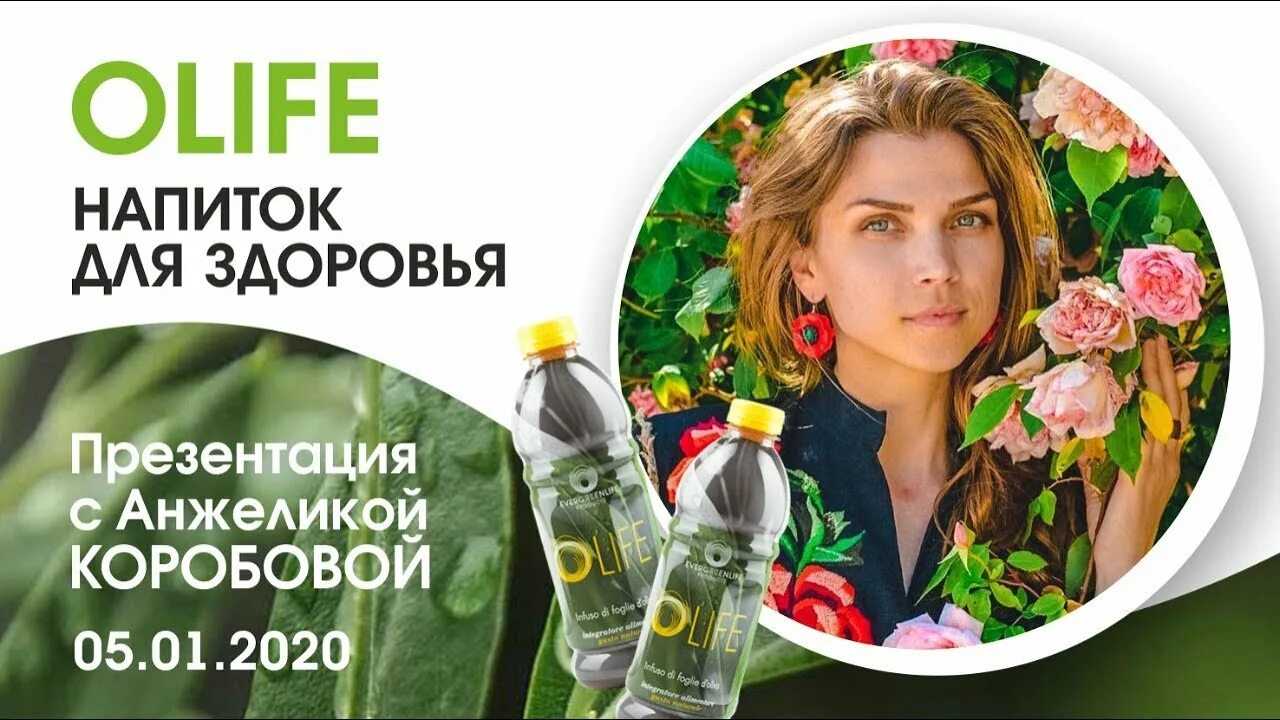 Купить олайф. Сок Олайф. Напиток жизни Олайф. Olife гель. Olife напиток из оливковых листьев.