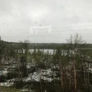 Погода шонгуй норвежский