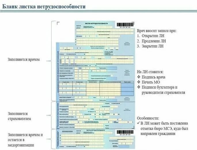 Лист нетрудоспособности бланк. Форма Бланка листка нетрудоспособности. Пример заполнения листка нетрудоспособности. Заполненный лист нетрудоспособности. День больничного в 2023 году максимальный