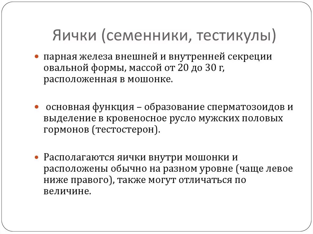 Придаток яичка функции. Функция яичек у мужчин. Функции яичка. Яичко функции кратко. Основные функции яичка.