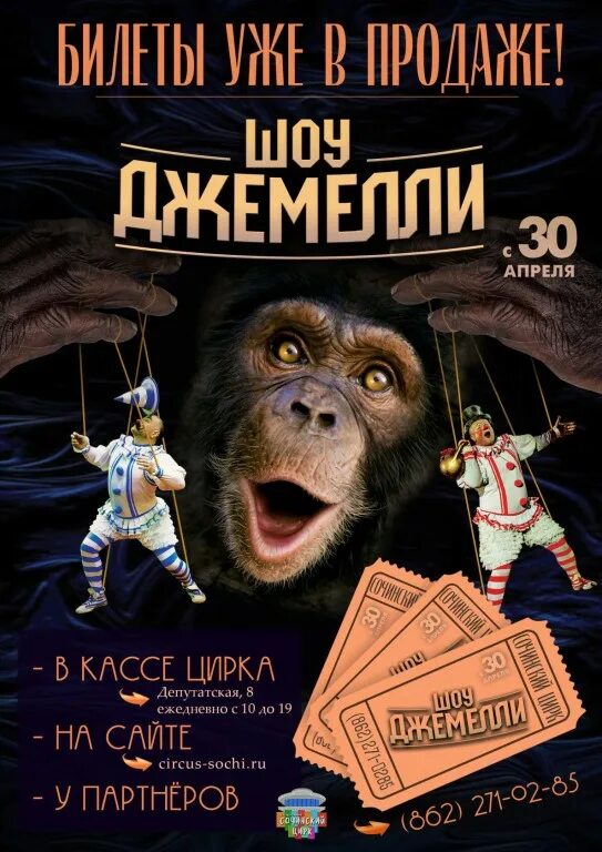 режим кассы цирка. кассир в цирке. касса цирка режим работы. цирк билеты тюмень. цирк виват калининград 2023.