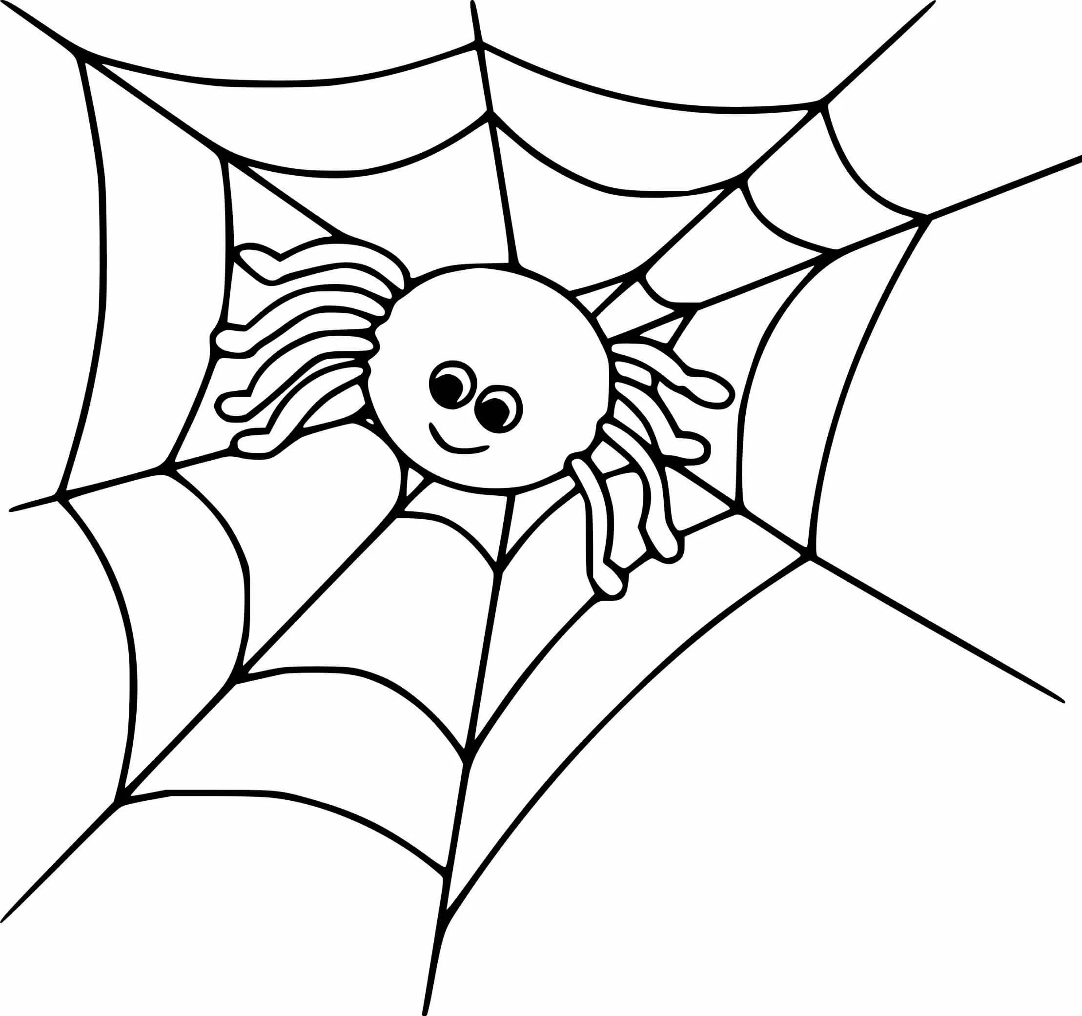 Разукрашивать пауки. Паук раскраска для детей. Паук картинка для детей раскраска. Раскраска паучок. Паучок на паутине раскраска.