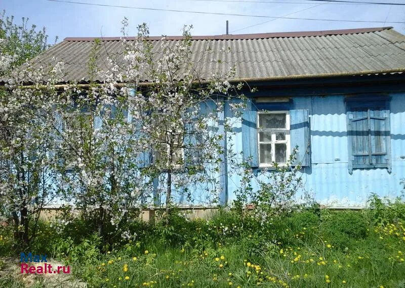 Бесплатные объявления саратовская область самойловке. Деревня в Балашове.