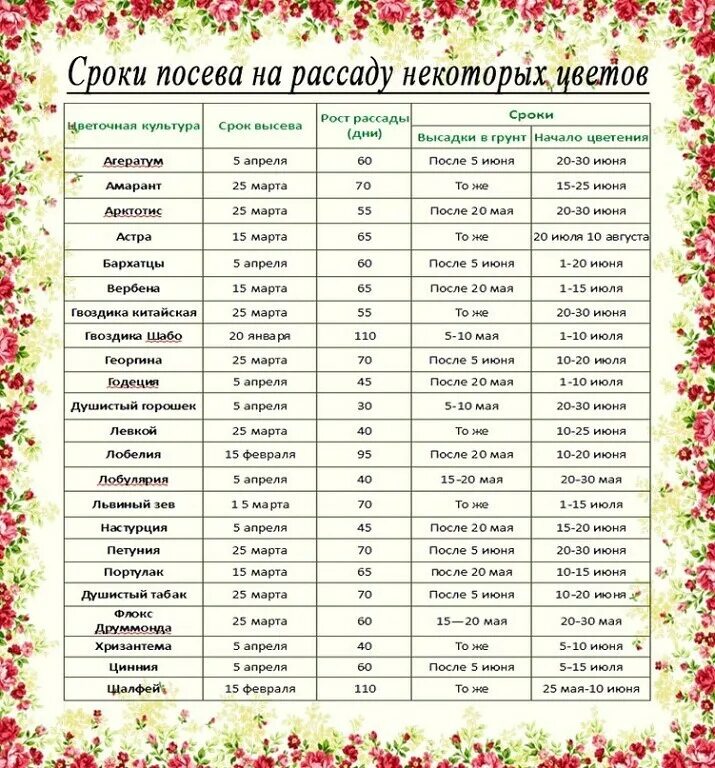 Когда можно сажать цветы
