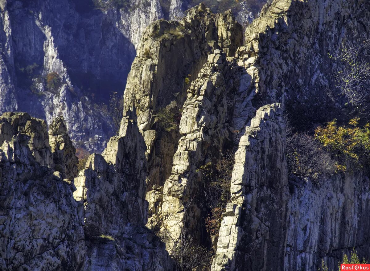 Курчавые скалы в карелии. Курчавые скалы. «бараньи лбы», «курчавые скалы» - формы рельефа характерные для. Курчавые скалы в россии. Курчавые скалы это в географии.