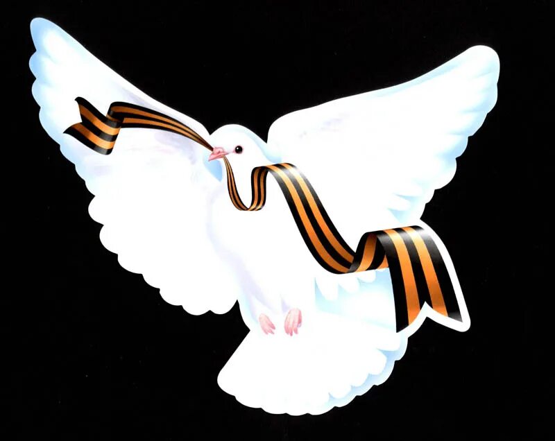 голубь победы
