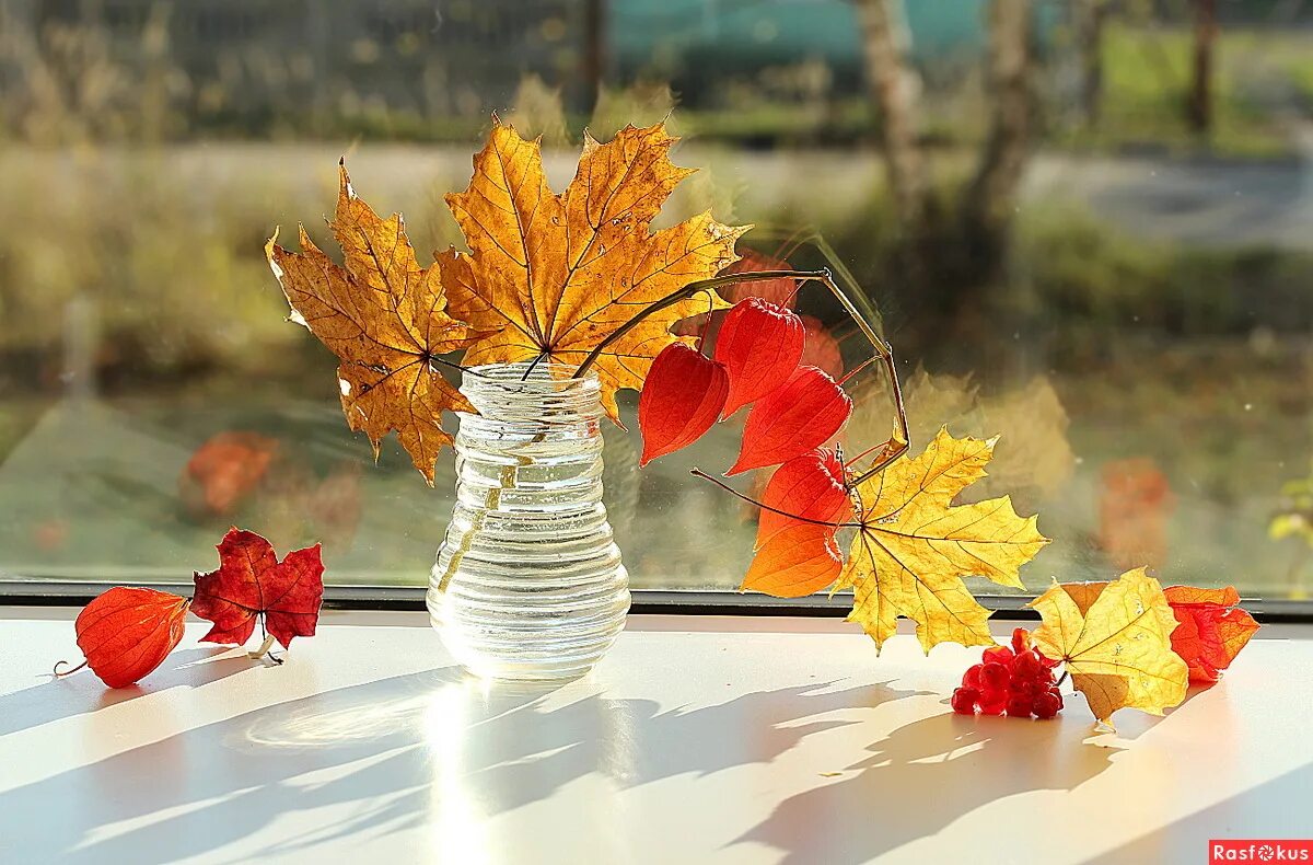 Осень крыльцо. Листья на крыльце. Листья на скамейке. Осенние клены в деревне. Осеннее крыльцо.