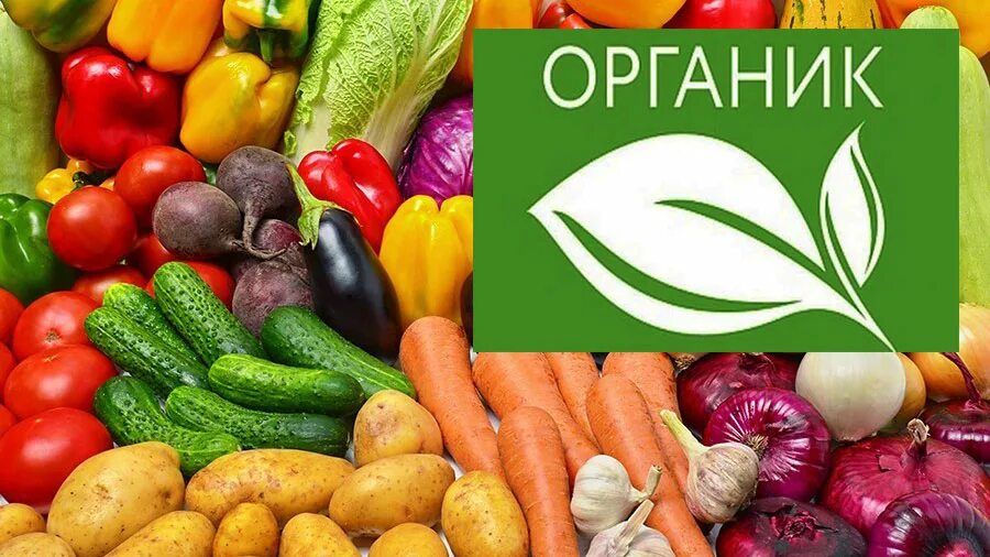 Продукция органик продукцией. Экологически чистые продукты. органическая продукция. органические продукты. чистый продукт.