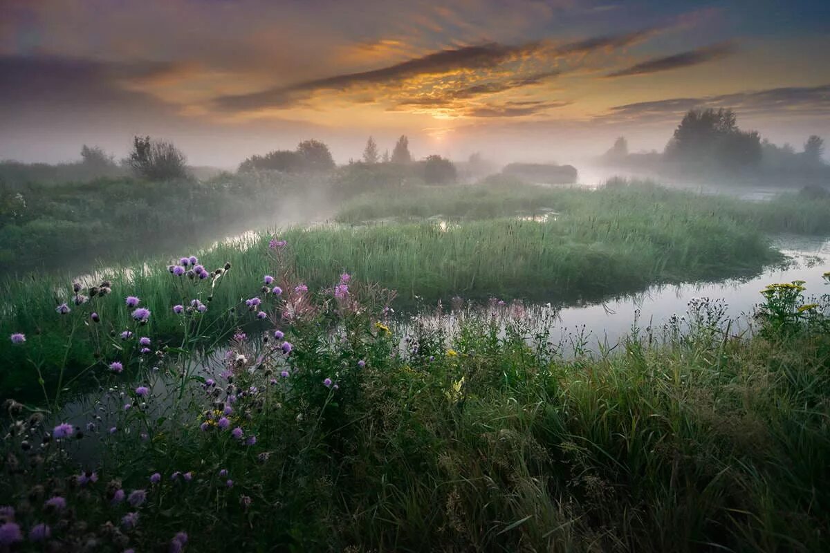 Свежестью ее румяной. Летнее утро. Утренний туман. Утренняя природа. Раннее летнее утро.