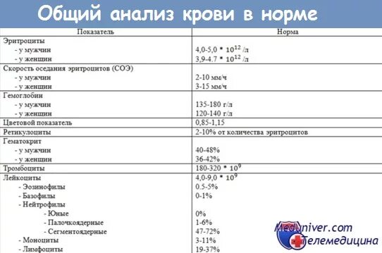 Норма анализа крови у мужчин после 40. Общий анализ крови показатели нормы. Нормы общего анализа крови у му. Анализ крови нормы показателей у женщин. Общий анализ крови показатели нормы для мужчин.