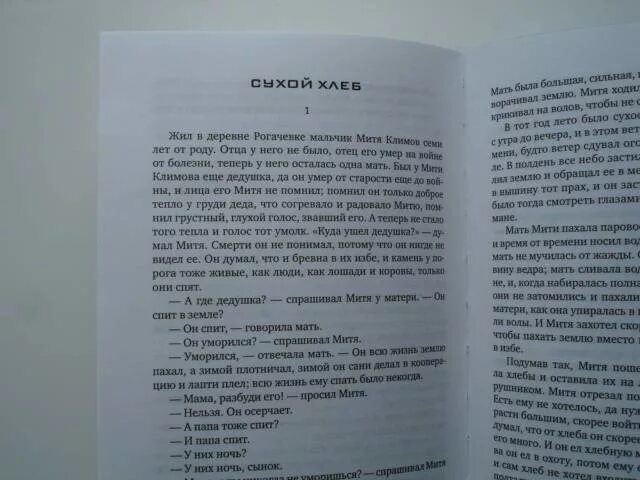 Никиты читать кратчайшее содержание платонов. Рассказ Андрея Платонова «сухой хлеб».. Сухой хлеб читать. Рассказ Андрея Платонова сухой хлеб краткое содержание.