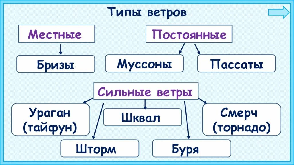 Виды ветров схема. Ветры и их виды. Виды ветров и их характеристика. Схема виды ветра. Совет ветров