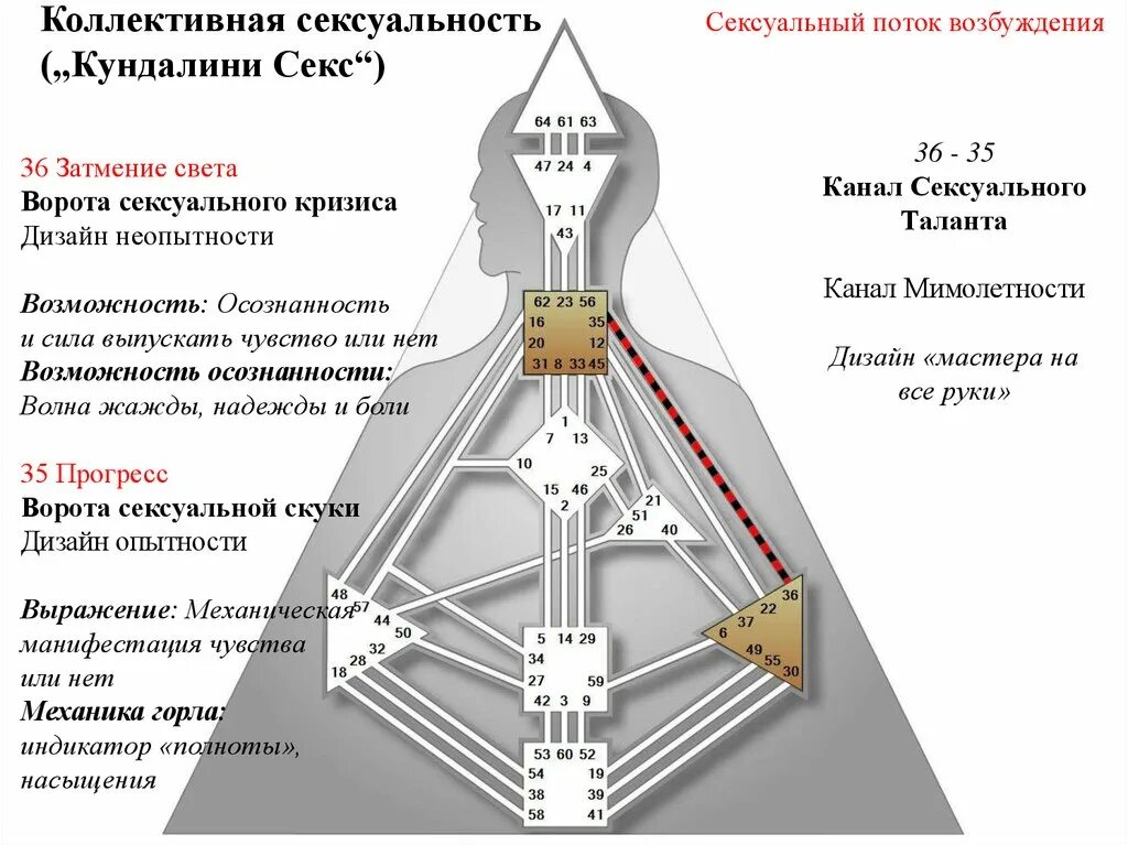Канал 2 14 дизайн человека