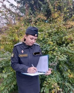 Пристав воронеж туполева