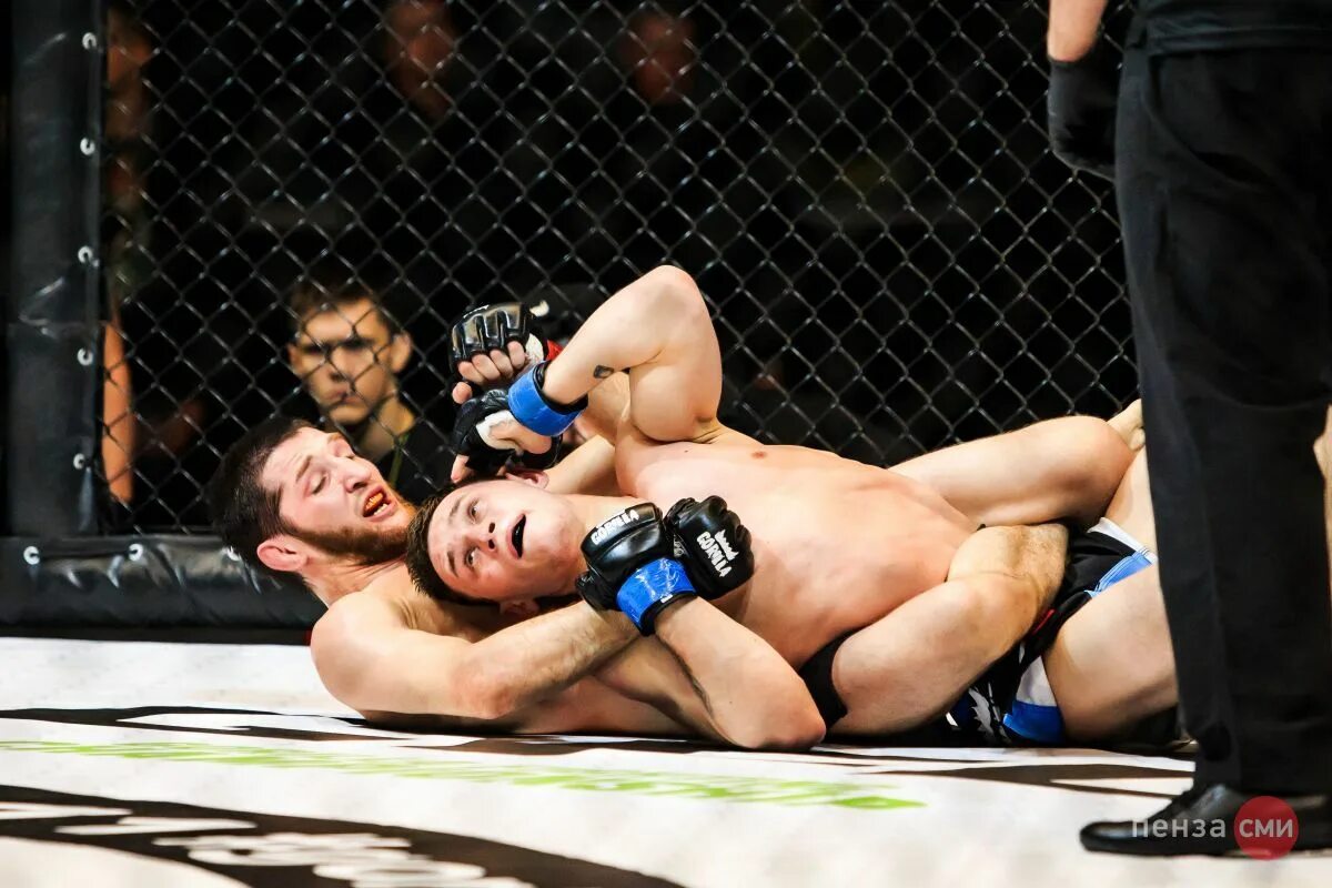 ближайший турнир смешанных единоборств