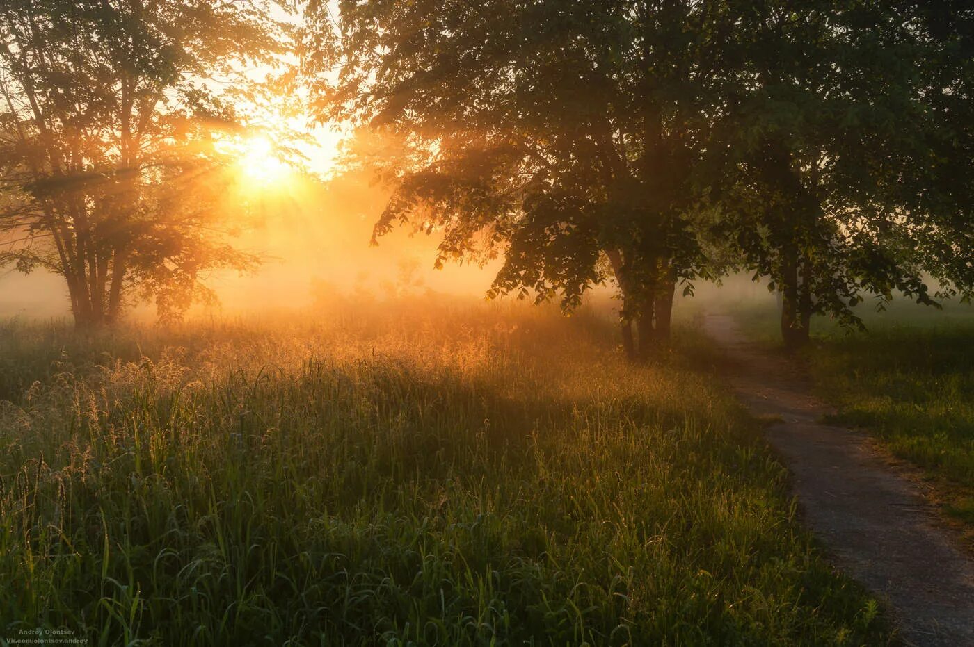 Природа рассвет. Солнце пейзаж реальный. Безмятежный рассвет. Безмятежный пейзаж.