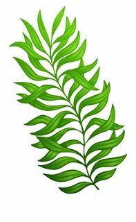 Pdf plant