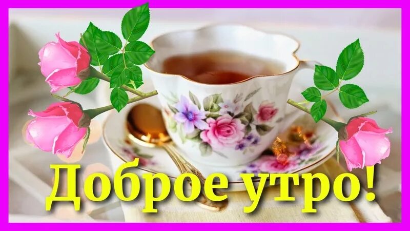 Тик ток открытки с добрым утром. Тик-ток с добрым утром музыкальные. Тик-ток с добрым утром видео. Пожелания на утро видео