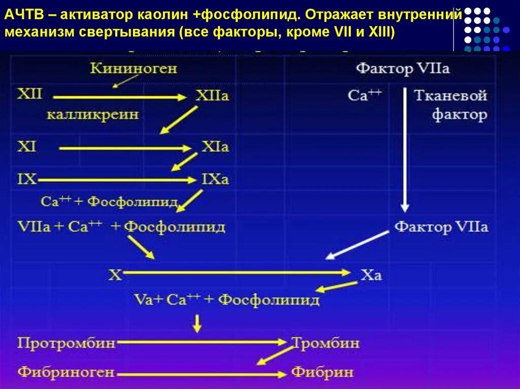 Ачтв повышен у взрослого. АЧТВ. Активированное частичное тромбопластиновое время. Активированное частичное тромбопластиновое время (АЧТВ). АЧТВ расчет.