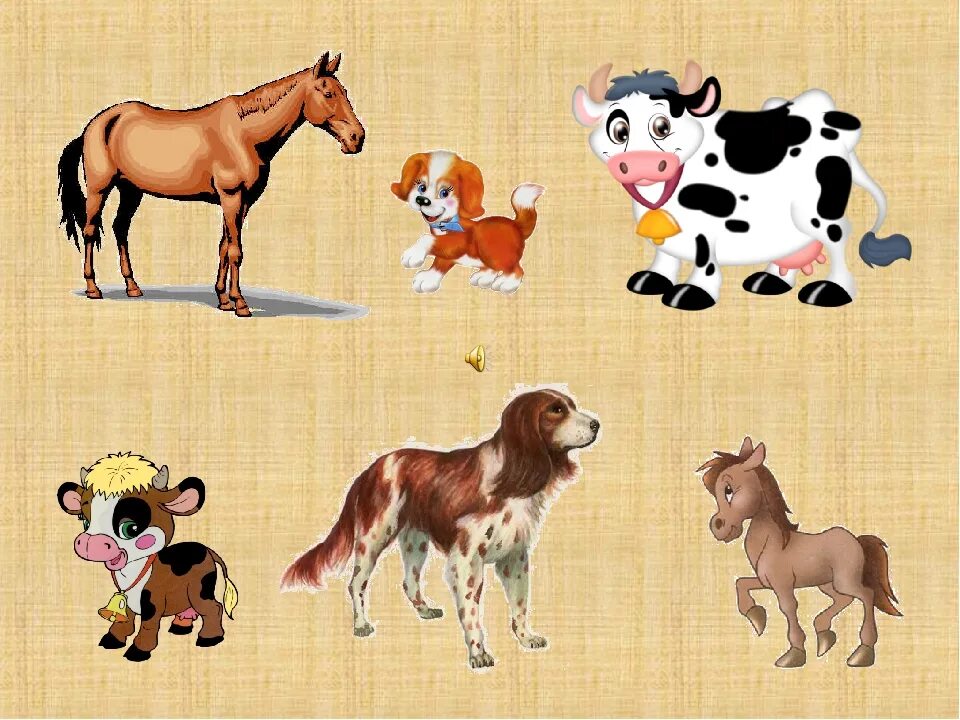 Игры найти зверей. Домашних животных для детей. Для детей. Животные. Изображения домашних животных для детей. Домашние животные и Детеныши.