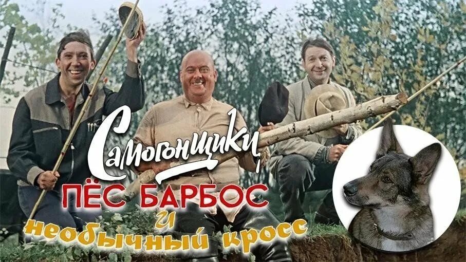 Барбос необычайный кросс. Пёс Барбос» (1961) л. Гайдая. Пёс Барбос и необычный кросс.